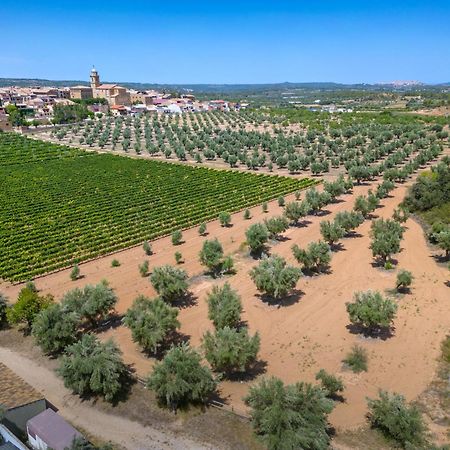 Hotel & Resort Vilar Rural D'Arnes By Serhs Hotels Sant Carlos de la Ràpita 외부 사진