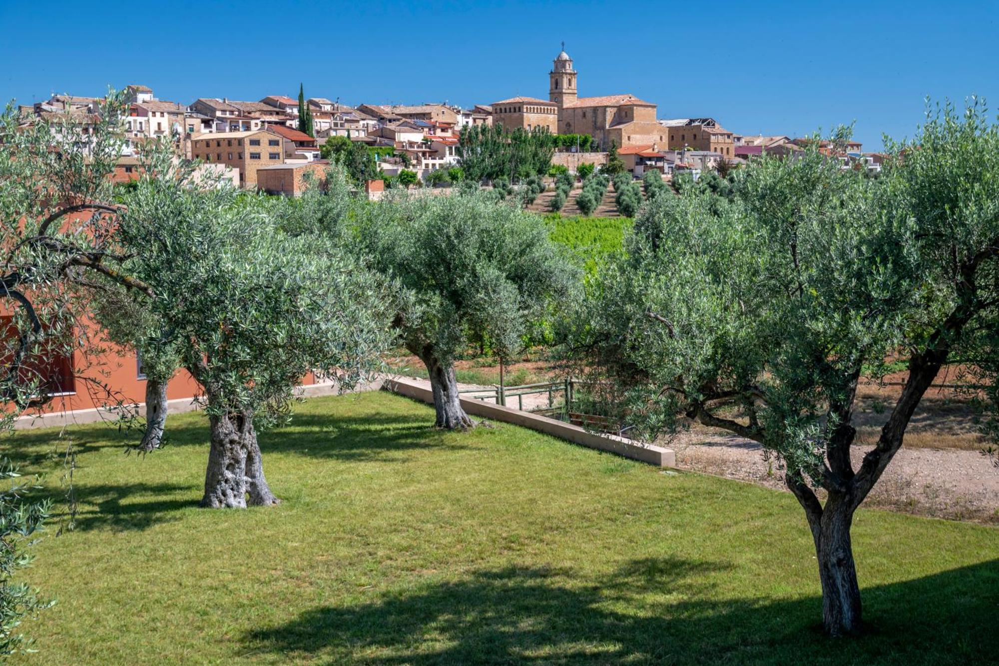 Hotel & Resort Vilar Rural D'Arnes By Serhs Hotels Sant Carlos de la Ràpita 외부 사진