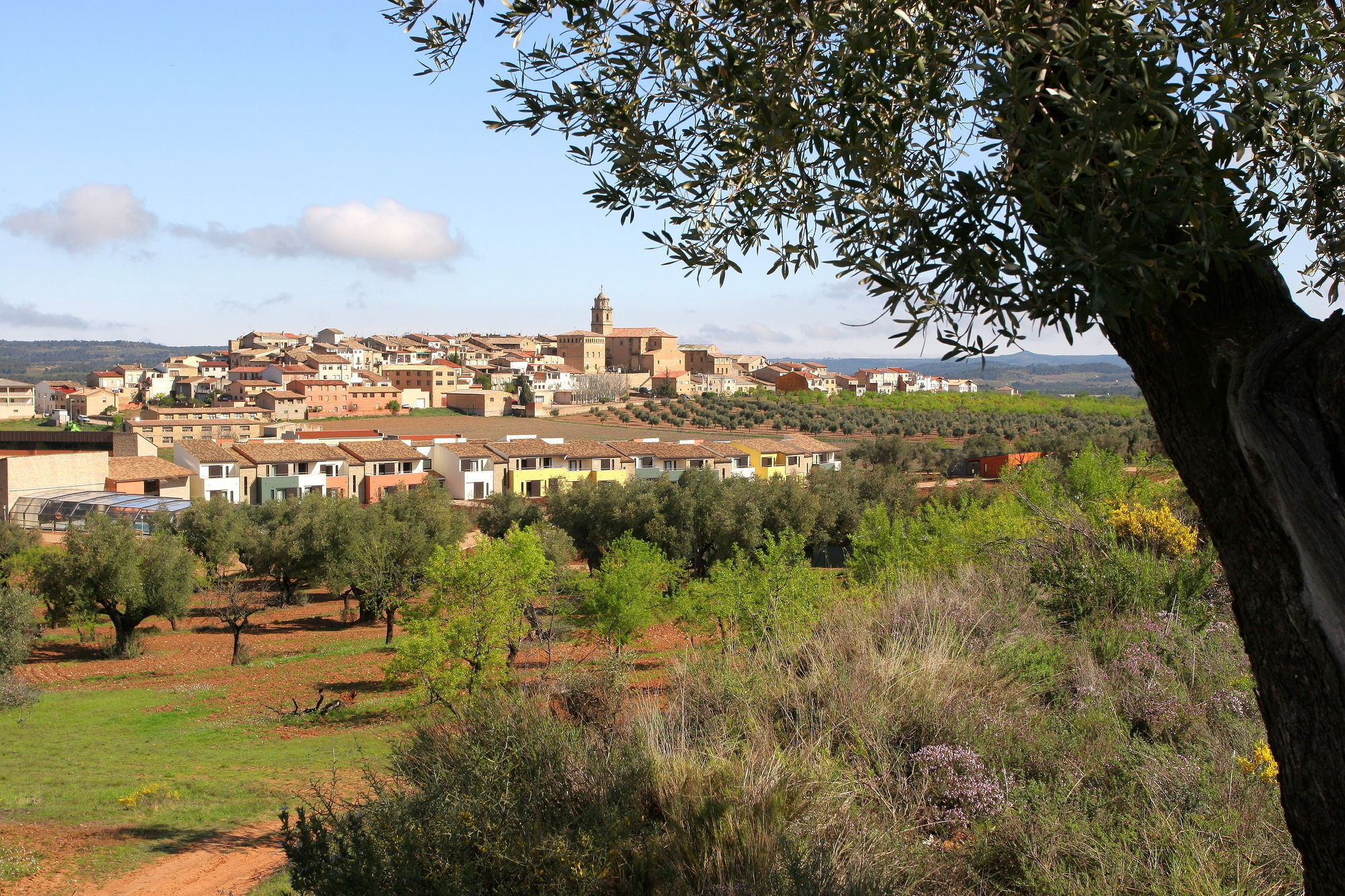 Hotel & Resort Vilar Rural D'Arnes By Serhs Hotels Sant Carlos de la Ràpita 외부 사진
